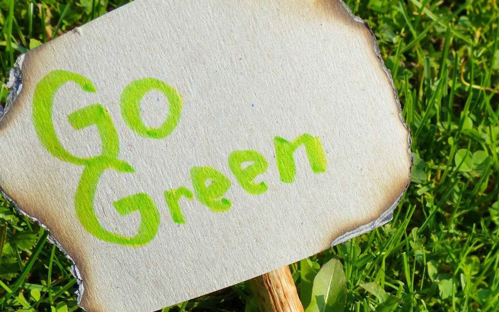 Another creative, often overlooked, way to pay for your home renovation is to go green